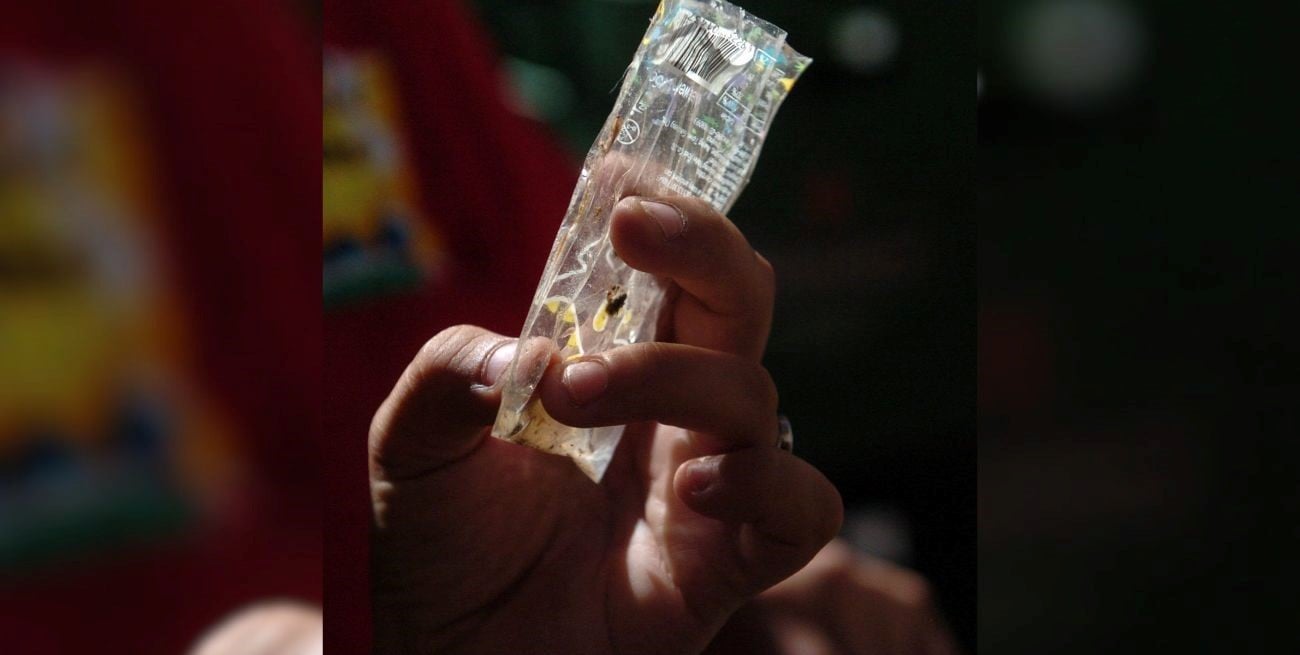 Dengue en Santa Fe: confirman que el vector está en 26 barrios de la ciudad 