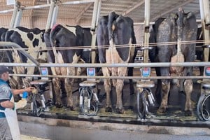 La agricultura de precisión como motor del tambo: el caso de éxito desembarca en TodoLactea