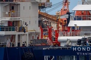 Una pasajera francesa evacuada del crucero MV Hondius dio positivo por hantavirus