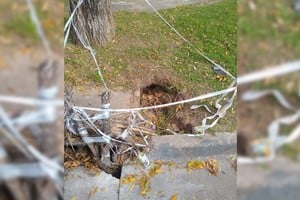 "Hace cinco meses que estoy reclamando a diferentes entes y no obtuve solución", relató con indignación el vecino damnificado a El Litoral.