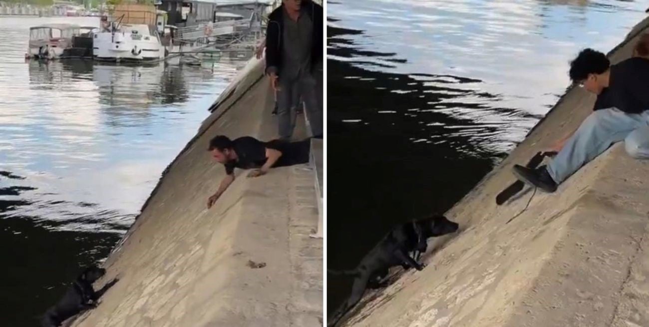 Un perro cayó al río en París y varios vecinos se unieron para salvarlo: el conmovedor video