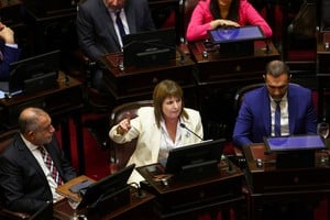 Patricia Bullrich, jefa de la bancada de LLA en el Senado, fundamentó el proyecto de reforma electoral integral que impulsa el gobierno de Javier Milei. fue en reunión de comisión. Foto: Archivo.