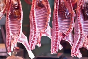 La restricción alcanzará exportaciones de carne bovina, aves, equinos, huevos, miel