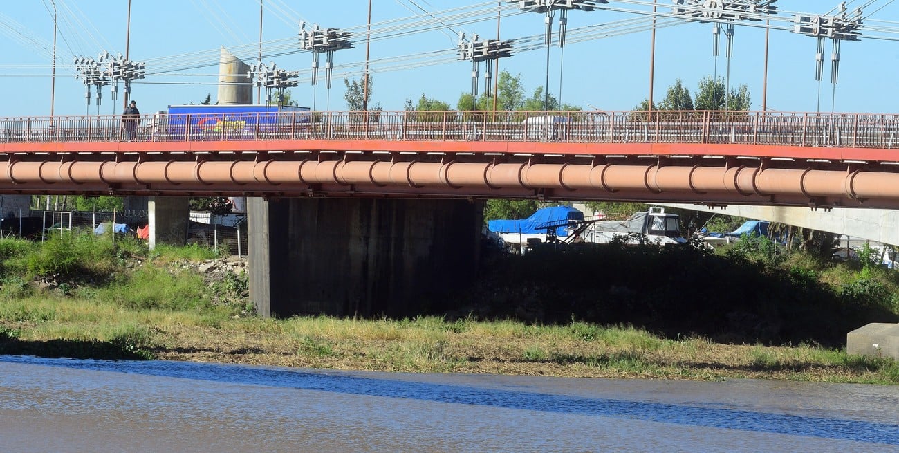 Camalotes en la Setúbal: retirarán un enorme embalsado atascado bajo el puente Colgante