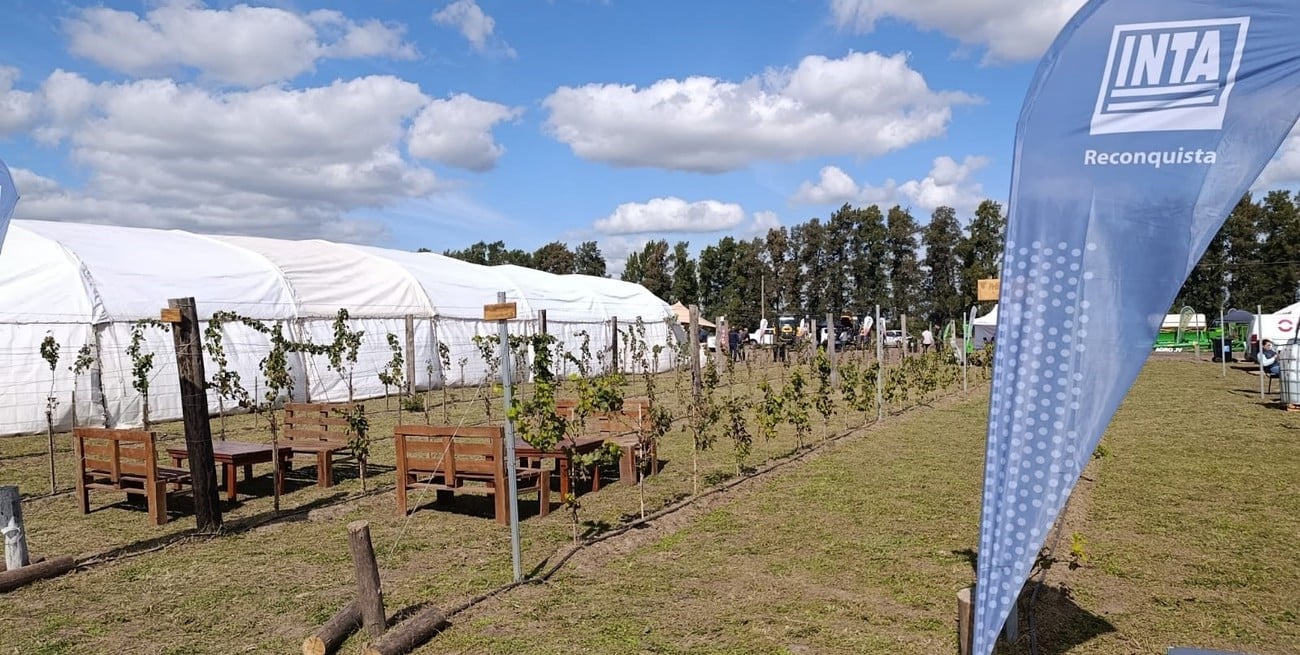 TecnoRiego 2026 marcó agenda en Avellaneda con foco en innovación y gestión del agua