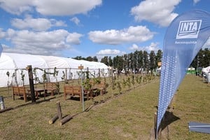Se presentaron proyectos vinculados al desarrollo productivo regional.