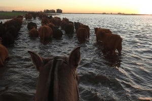 El gobierno de Santa Fe decretó emergencia agropecuaria en 19 localidades del centro-norte provincial, tras inundaciones y desbordes que afectaron a productores desde abril. Foto: Gentileza Saladillo Campo