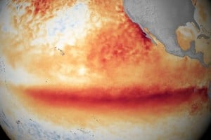 La NOAA elevó las probabilidades de un fenómeno El Niño extremo.