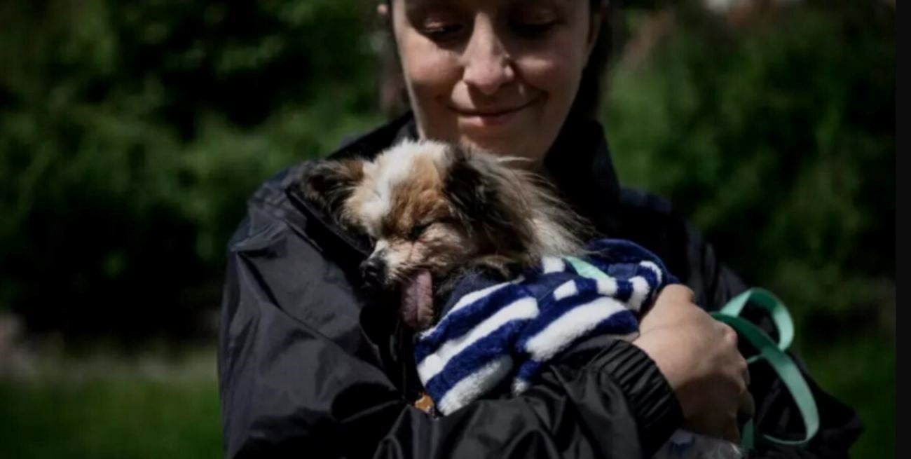 Murió Lazare, el perro de 30 años que buscaba convertirse en el más longevo del mundo