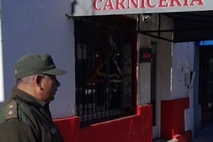 Los "Pumas" buscaban carne de origen ilegal y hallaron panes de marihuana. Foto: El Litoral