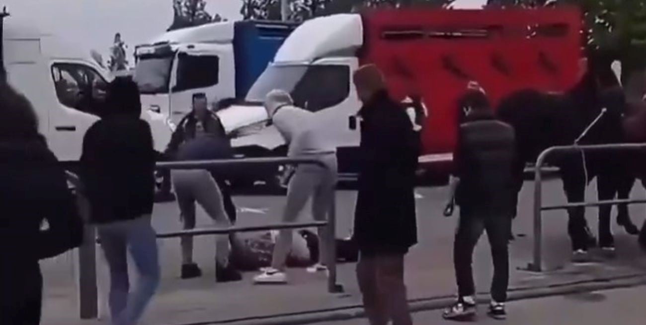 Polonia: maltrató a caballos atados, uno reaccionó y lo dejó desplomado en el suelo