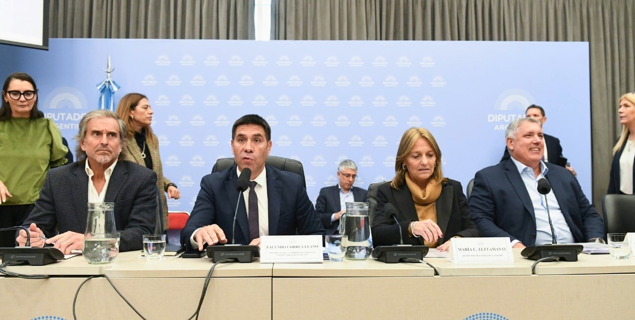 La reforma energética de Milei dio un paso clave en Diputados: qué cambia y cuándo se trata