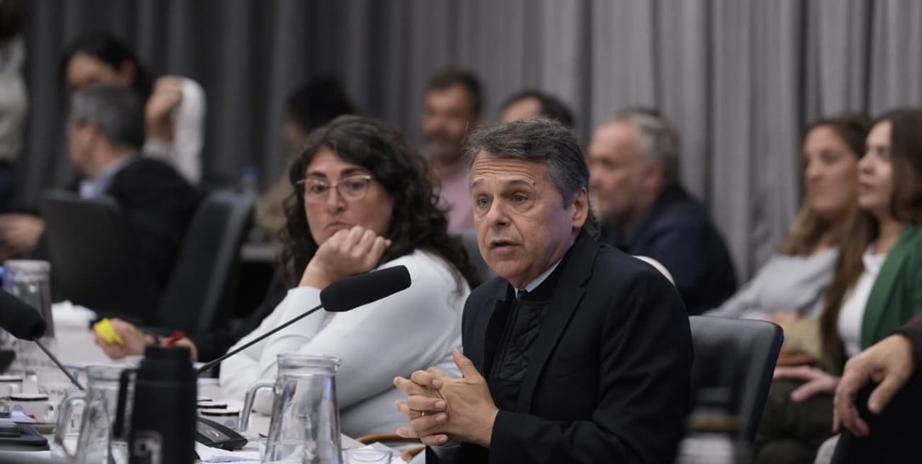 Giuliano: "Vamos hacia una privatización lisa y llana de la Vía Navegable Troncal"