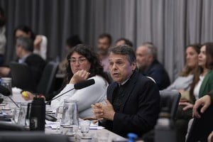 El diputado Giuliano planteó: “vamos hacia una Vía Navegable Troncal muy corta, una privatización lisa y llana, sin innovación ni federalismo”.
