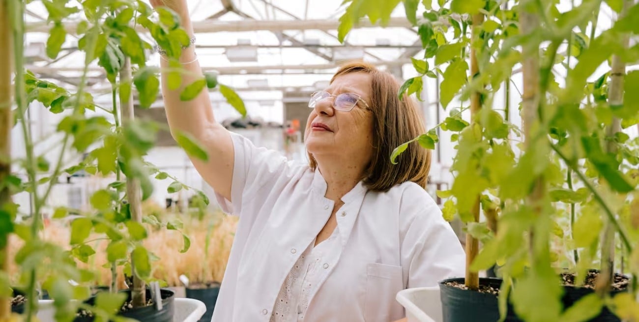 Raquel Chan ganó un prestigioso premio: “Los países que invierten en ciencia son los que crecen”