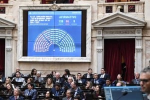La votación de la ley de Hojarasca. Crédito: Diputados