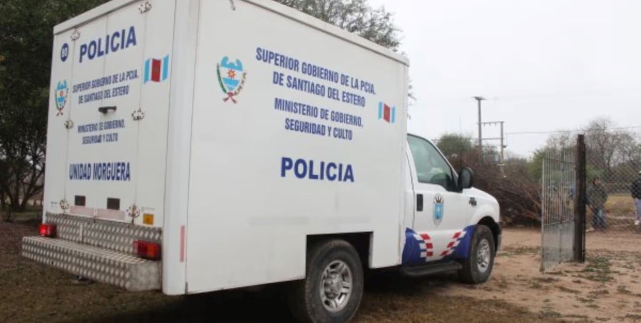 Un enjambre de abejas mató a un hombre de 91 años en Santiago del Estero