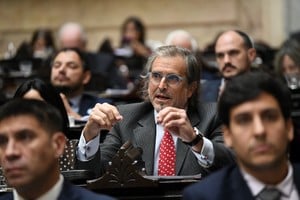 Benegas Lynch participó de una sesión con fuertes cruces políticos.