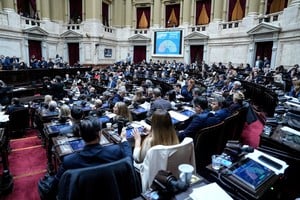 Diputado trata el proyecto de ley que busca achicar el subsidio al gas, excluyendo regiones menos frías, para reducir el déficit fiscal y mejorar el orden financiero del sector energético. Foto: HCDN.