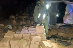 La mercadería secuestrada está valuada en más de $17 millones.
