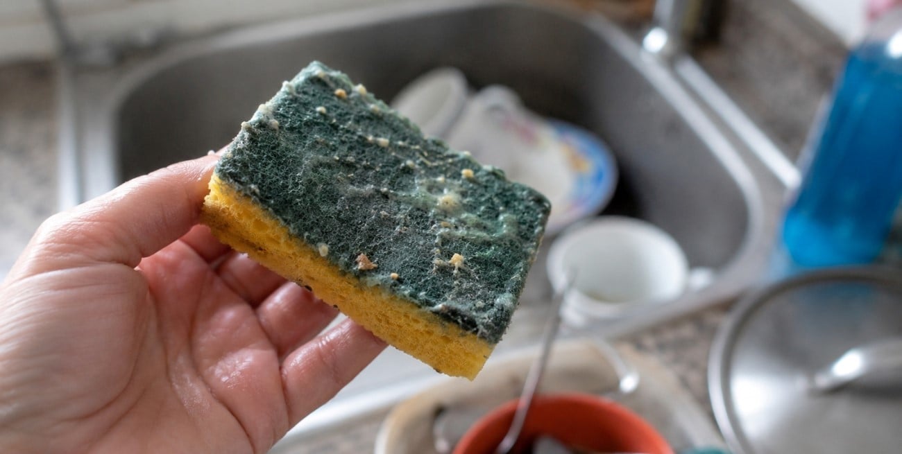La esponja de cocina puede tener más bacterias que un inodoro: qué recomiendan los especialistas