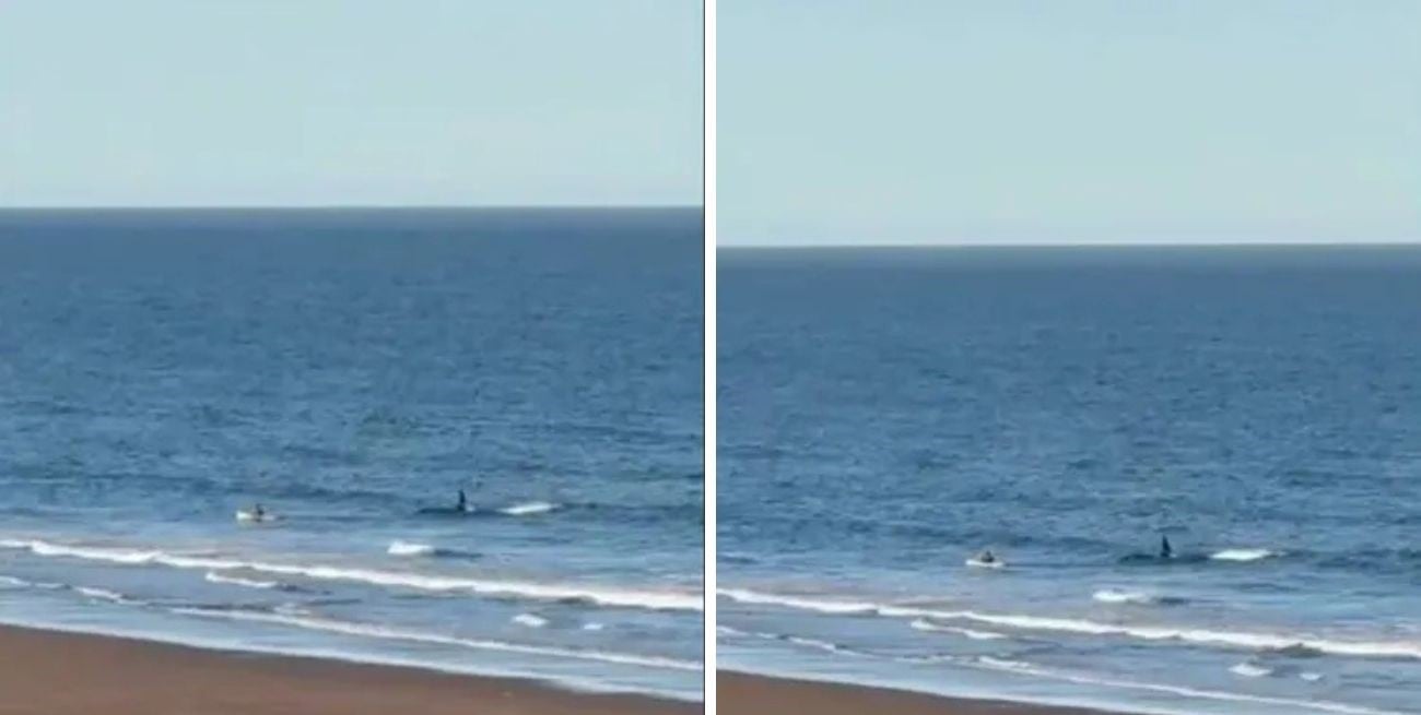 Un kayakista vivió un susto en Río Negro tras el inesperado acercamiento de una orca