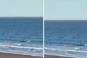 El momento fue registrado en video y rápidamente se volvió viral en redes sociales.