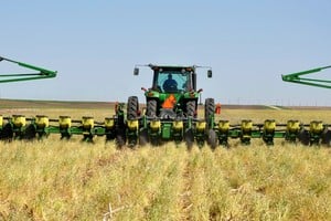 La soja seguirá siendo uno de los cultivos clave del sector.