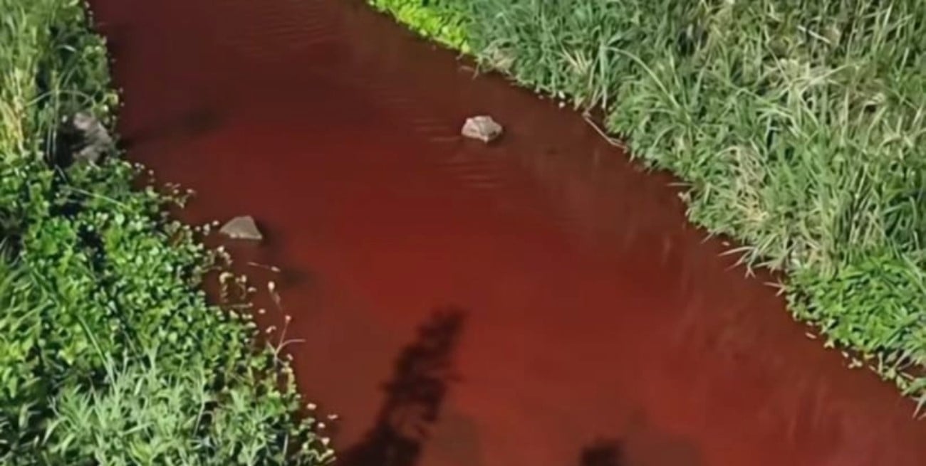 Preocupación ambiental en Casilda por presunta contaminación con sangre y restos vacunos