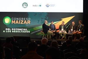 Maíz: las cadenas de proteína animal reclaman más industrialización y mejores condiciones para crecer