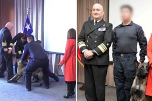 Un perro antidrogas mordió a un vicealmirante. Foto: gentileza.