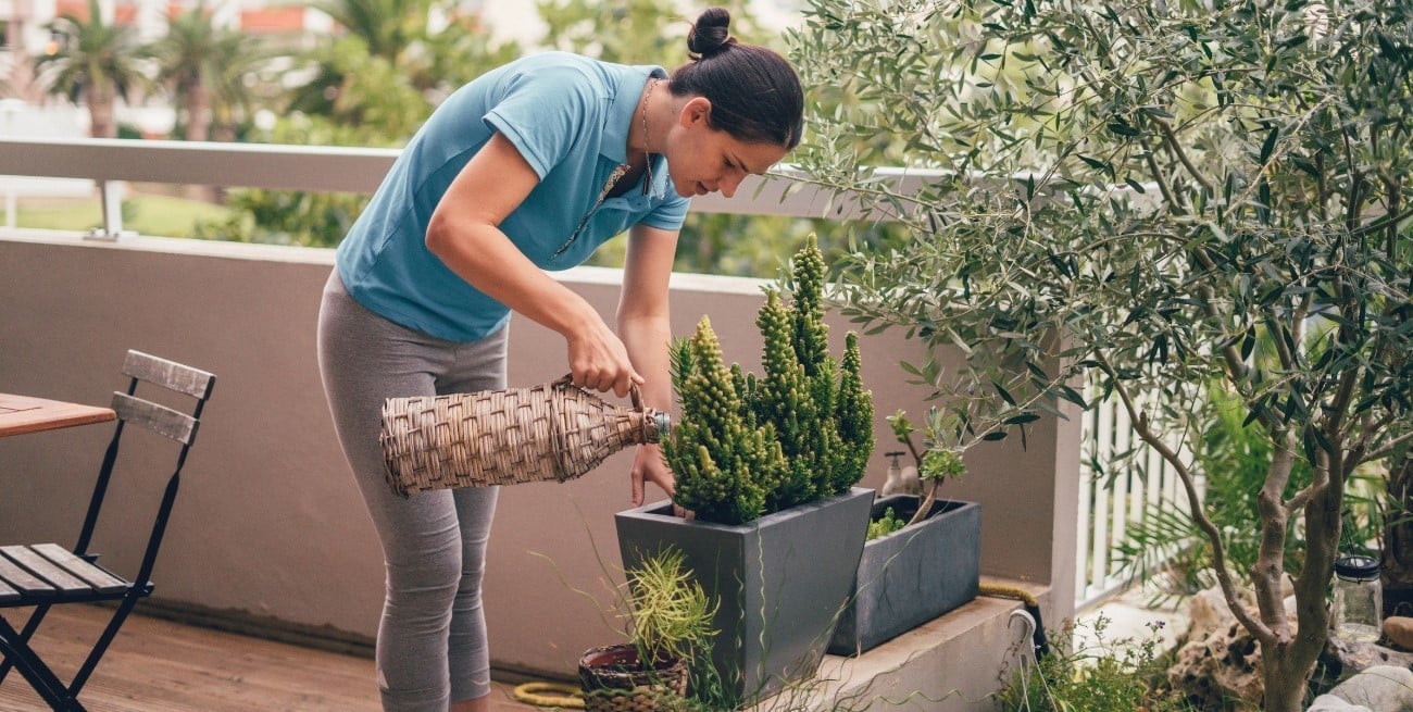 Estos errores al regar podrían estar dañando tus plantas sin que lo sepas