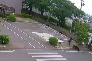 Una cámara de seguridad registró el momento exacto en que el oso atacó a una de las víctimas.