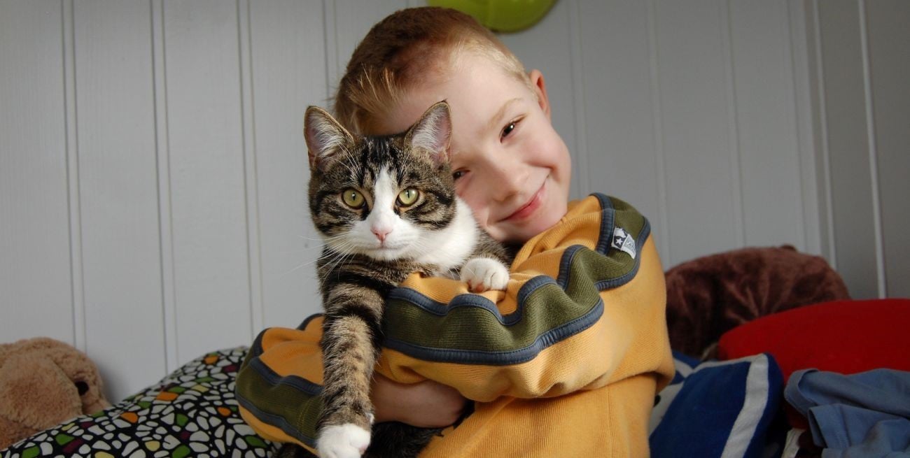 Día Internacional de Abrazar a tu Gato: los sorprendentes beneficios científicos de un gesto lleno de amor