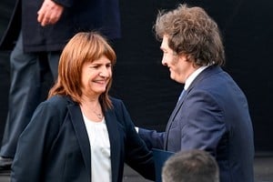 Bulllrich minimizó sus diferencias con Milei. Foto: Reuters.