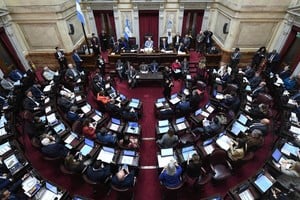El Senado este mismo jueves. Crédito: Prensa Senado