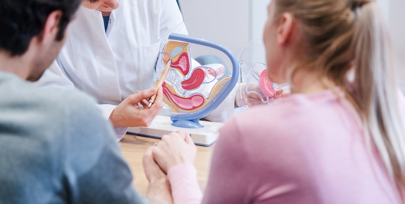 Día Mundial de la Fertilidad: cómo cuidar la salud reproductiva y cuándo consultar a un especialista