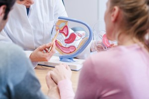 Los profesionales insisten en la necesidad de brindar información clara sobre los límites biológicos de la fertilidad humana