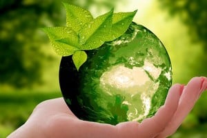 El Día Mundial del Ambiente es una jornada propicia para reflexionar sobre la crisis ecológica y ambiental que atraviesa nuestro planeta.