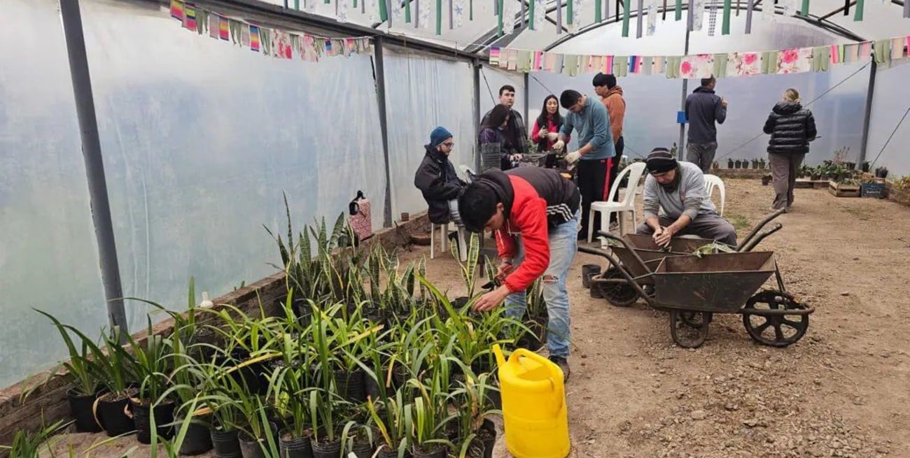 El Vivero Inclusivo de San Lorenzo incorporó nuevas herramientas para ampliar su producción