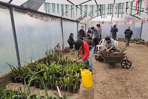 El Vivero Inclusivo "Hojitas Verdes" suma herramientas y fortalece su producción