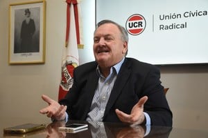Michlig adelantó a la dirigencia del radicalismo la decisión de avanzar en la discusión de la ley electoral. Crédito: Archivo El Litoral