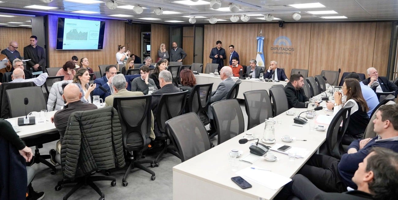 “La cancha está inclinada”: la industria puso números en el Congreso al costo de la apertura