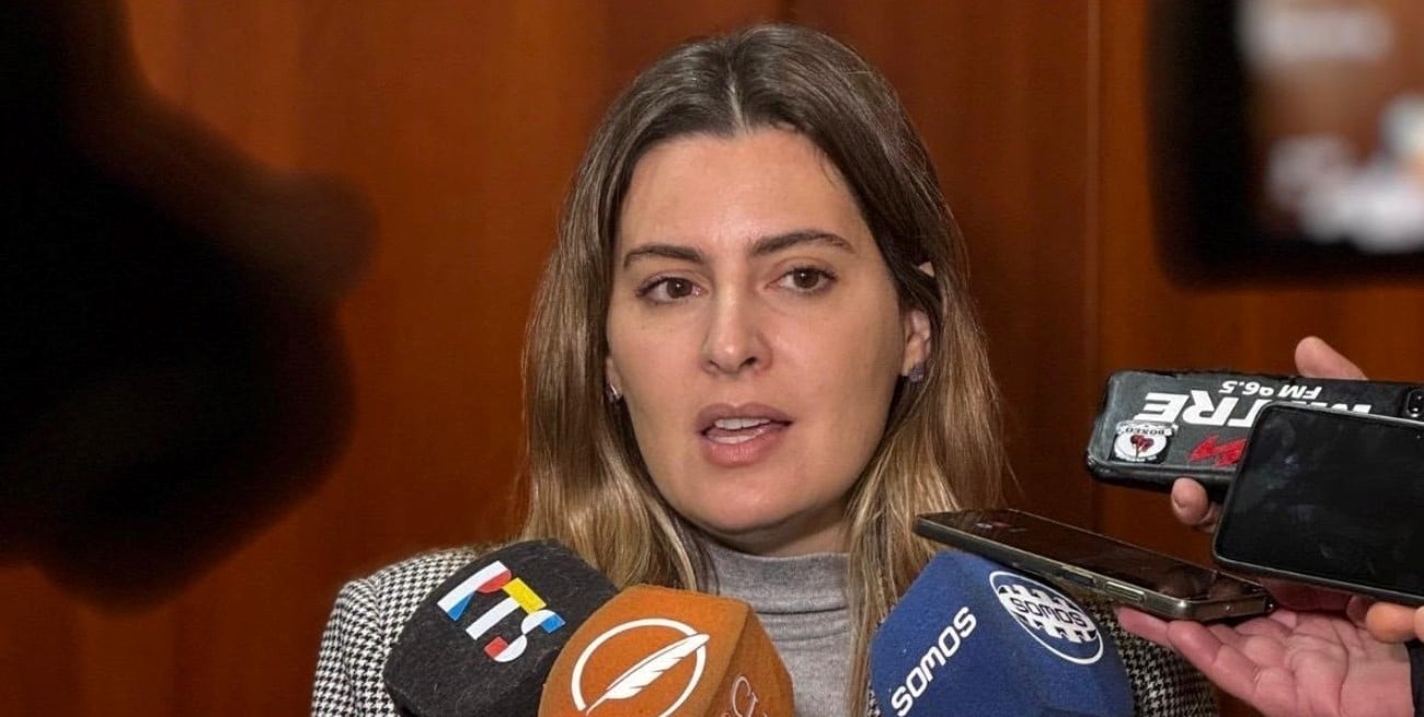 Cattalini: "Salmain tiene que rendir cuentas ante la Justicia"