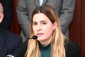 Cattalini, presidenta de Asuntos Constitucionales de Diputados.