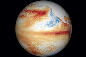 La NOAA confirmó oficialmente el desarrollo de un nuevo episodio de El Niño.