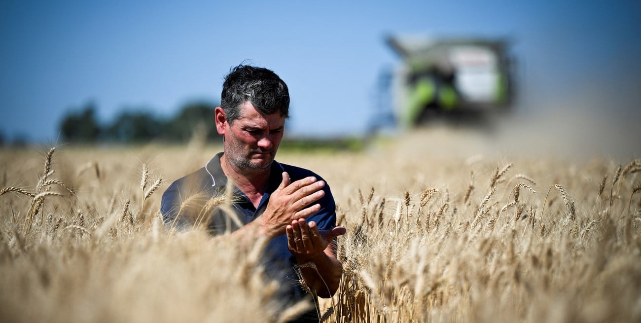 La confianza del campo rebota 14% y vuelve a acercarse a su máximo histórico