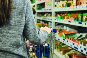 El INDEC destaca que, aunque la Canasta Básica Total mostró menor variación que la alimentaria, el costo de alimentos sigue siendo crítico para muchos. 