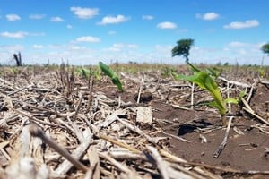 Imagen ilustrativa. Se trata del plan provincial de respuesta al Cambio Climático plasmado en el decreto 0959.
