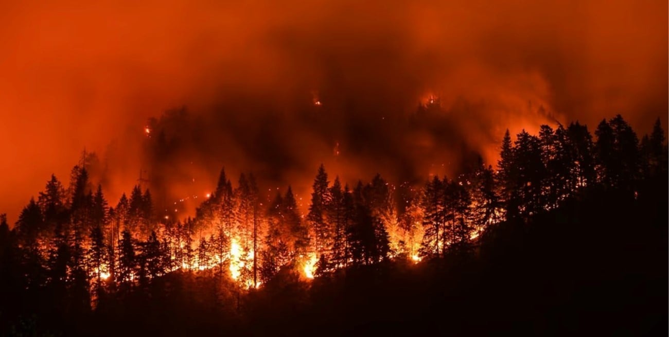 Estados Unidos: un incendio forestal arrasó más de 800 hectáreas en California